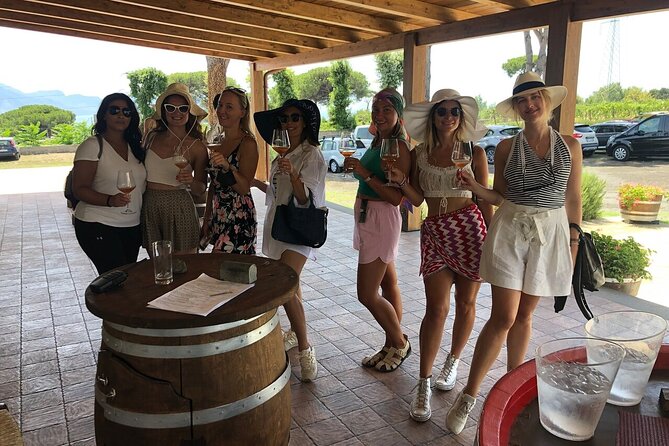 Pompeii, Herculaneum & Wine Tour, with Licensed Guide included - Booking details worth checking first