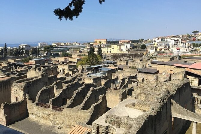 Pompeii, Herculaneum & Wine Tour, with Licensed Guide included - The winery brings the day back to present-day Campania
