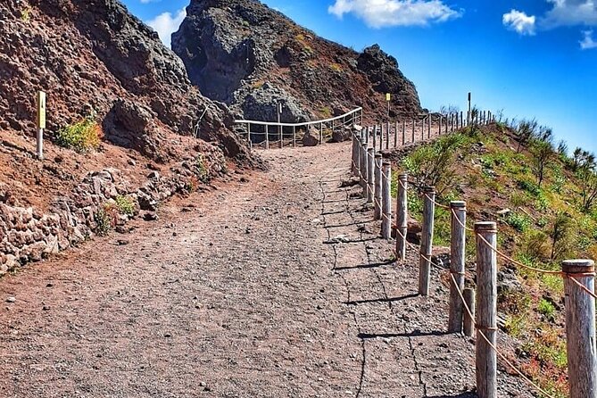 Pompeii & Mount Vesuvius Tour with Guided Visit, Tickets & Lunch - The guide makes the difference at Pompeii