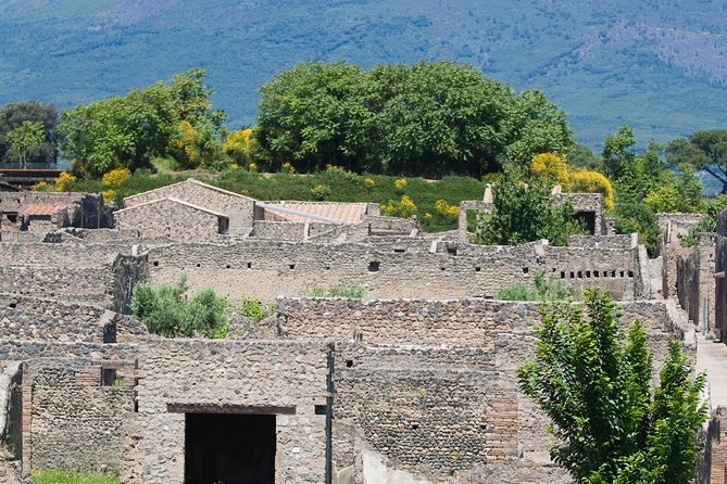 Pompeii Ruins Half-Day Tour from Sorrento with Guide - The Forum, Pompeii’s public center