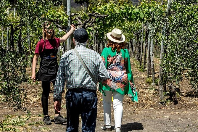 Pompeii Ruins & Wine Tasting with Lunch on Vesuvius with Private Transfer - Is $417.91 per person a fair price?