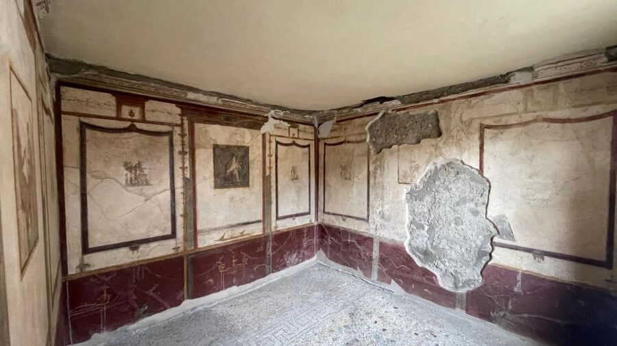 Pompeii - Vesuvius & Wine from Amalfi Coast all inclusive - What the $284.46 price covers