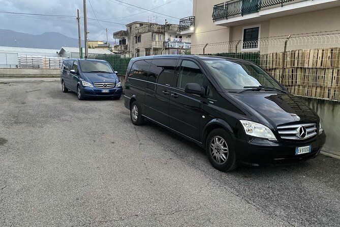 Pompeii, Vesuvius & Wine Tasting - What the private vehicle adds