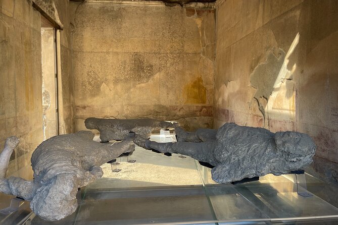 Pompeii, Vesuvius & wine tasting from Positano all inclusive - Price, group size, and what you receive