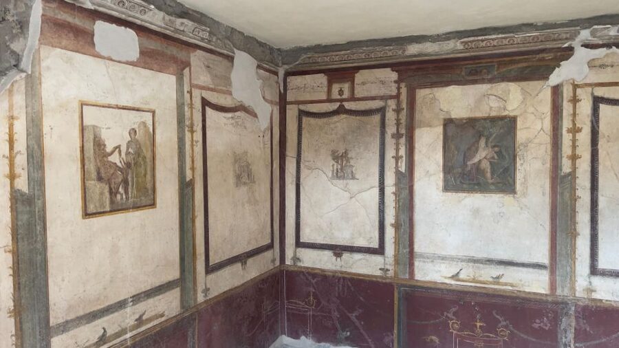 Pompeii-Vesuvius & Winery All Inclusive Tour From Positano - Key points at a glance