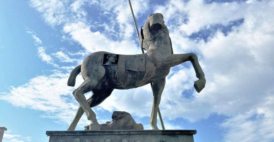 Pompeii-Vesuvius & Winery All Inclusive Tour From Positano - Should you book the Pompeii and Vesuvius wine tour?