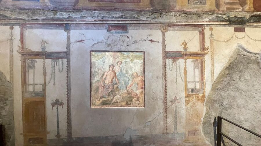Pompeii-Vesuvius & Winery All Inclusive Tour From Positano - Guides, group size, and the feel of the day