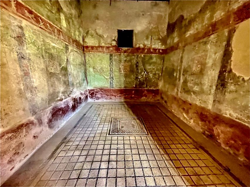 Pompeii-Vesuvius & Winery All Inclusive Tour From Positano - Who should book this tour