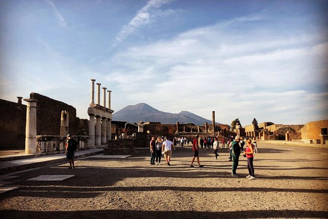 Pompeii & Vesuvius with Lunch & Wine Tasting from Positano - Is $324.64 a fair price?