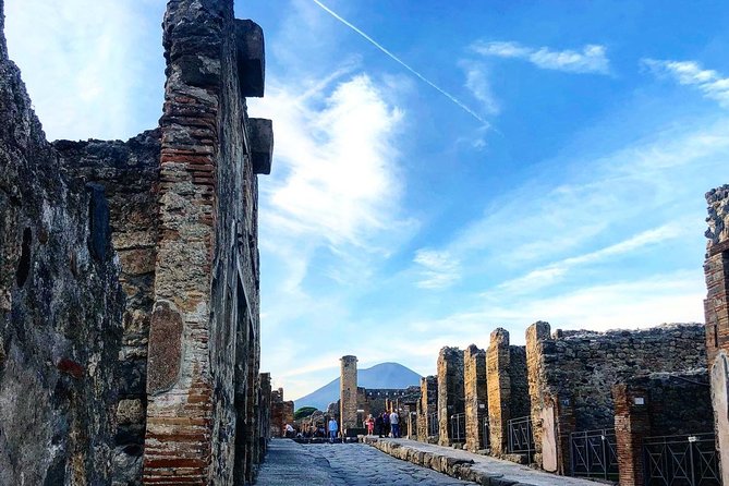 Pompeii & Vesuvius with Wine Tasting from the Coast - Pompeii in two hours with Francesca or Xaxa