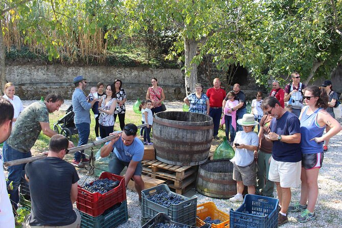 Pompeii Wine Tasting Tour from Positano - Timing, comfort, and who should book