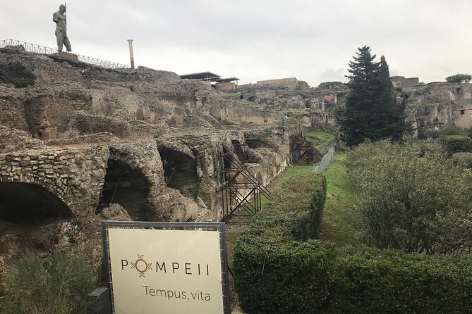 Pompeii Wine Tasting Tour from Positano - Pompeii in two focused hours