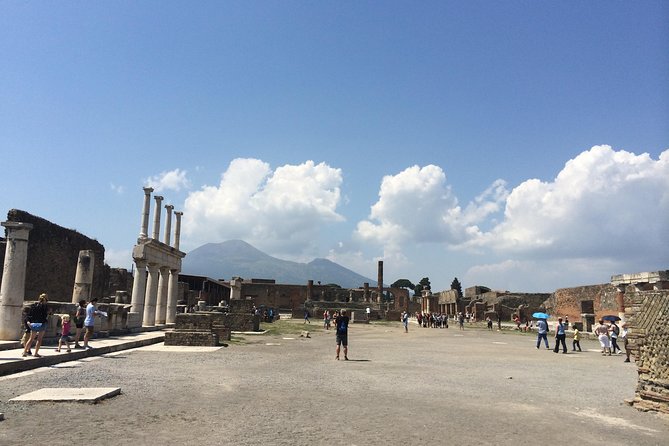 Pompeii-Wine tasting tour from Sorrento, licensed guide included - Two Focused Hours Inside Pompeii
