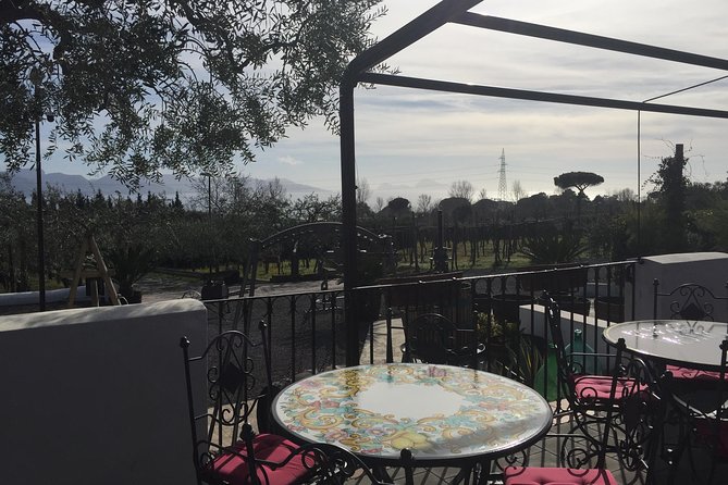 Pompeii-Wine tasting tour from Sorrento, licensed guide included - What the Private Service Adds