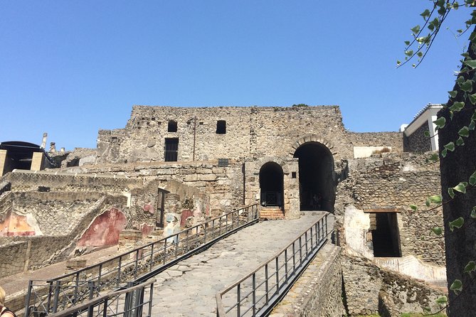 Pompeii-Wine tasting tour from Sorrento, licensed guide included - Booking, Weather, and Cancellation