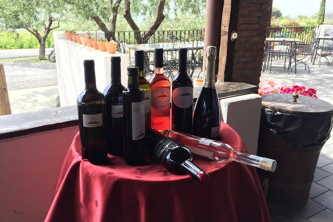 Pompeii-Wine tasting tour from Sorrento, licensed guide included - Lunch at Cantina del Vesuvio