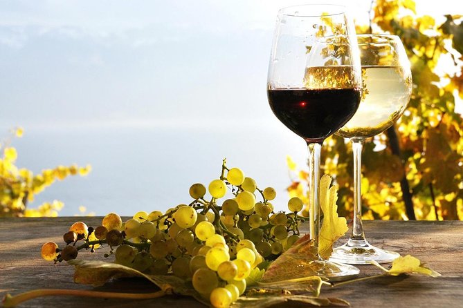 Pompeii & Wine Tour from Sorrento (tickets & lunch not included) - Pompeii first, then wine near Mount Vesuvius