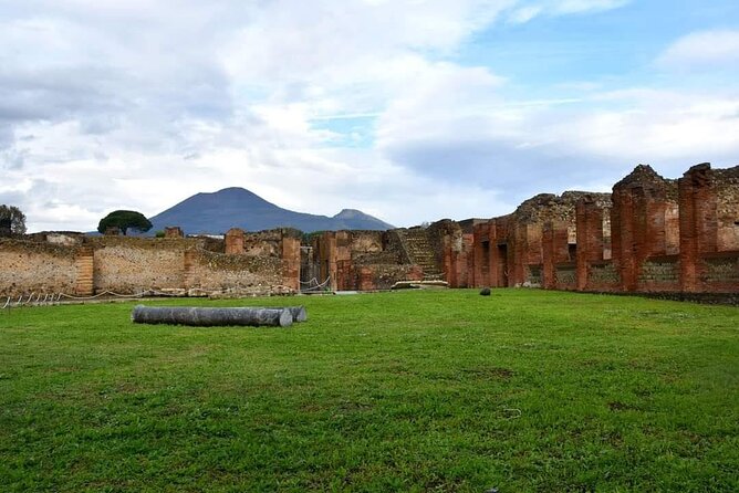 Pompeii & Wine Tour from Sorrento (tickets & lunch not included) - The guide question deserves attention
