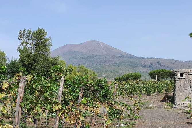 Pompeii & Wine Tour from Sorrento (tickets & lunch not included) - Two hours inside Pompeii