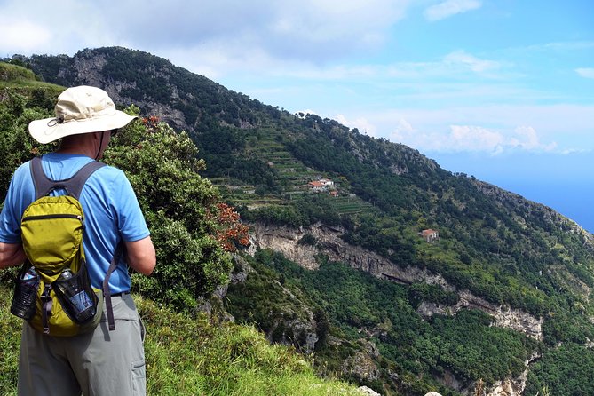 Private Amalfi Coast Tour with Path of the Gods - What private service adds to the day