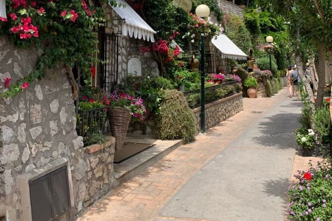 Private Capri and Blue Grotto Day Tour From Sorrento - What the private vehicle changes