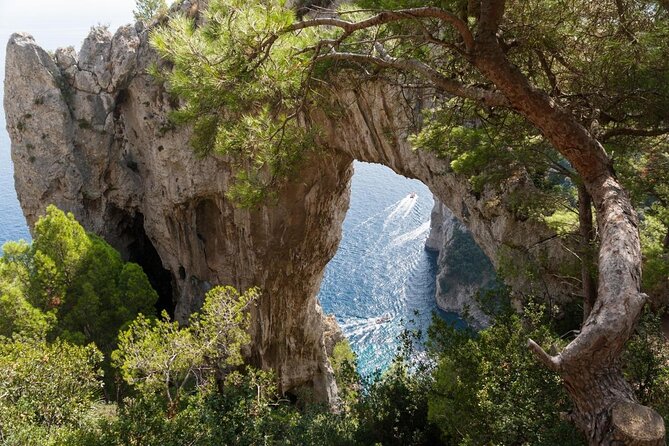 PRIVATE CAPRI ISLAND & BLUE GROTTO Full Day boat tour. - Key points to know before you book