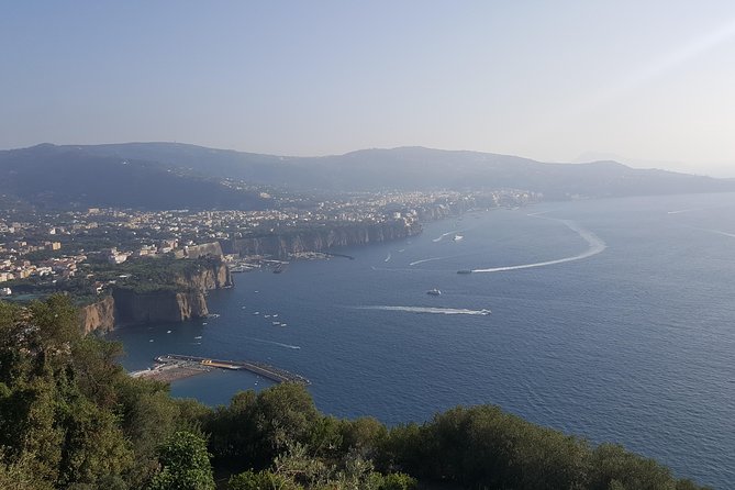 Private day tour to Pompei ,winery, Sorrento from Napoli/Salerno/Amalfi/Positano - Pompeii before lunch at Mount Vesuvius