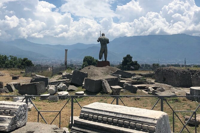 Private Full Day Tour Ruins of Pompei and Wine Tasting Experience - Lacryma Christi and lunch on the volcano’s slopes