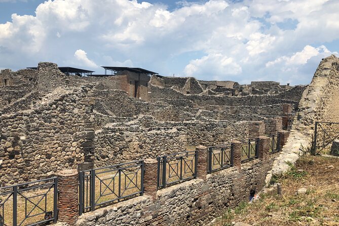 Private Full Day Tour Ruins of Pompei and Wine Tasting Experience - Weather flexibility and service style