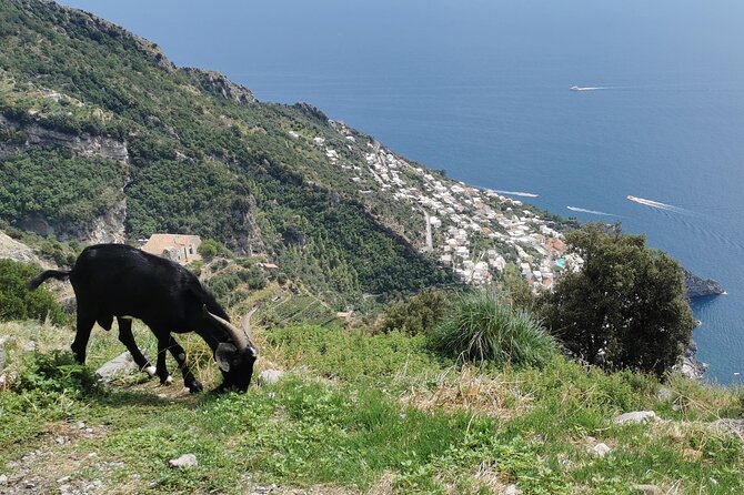 Private Guided Tour to the Path of the Gods - Half day - The descent toward Positano