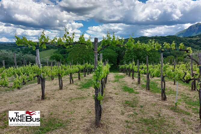 Private Irpinia Wine Tour from POSITANO, AMALFI or RAVELLO - Riding inland with a private sommelier-guide