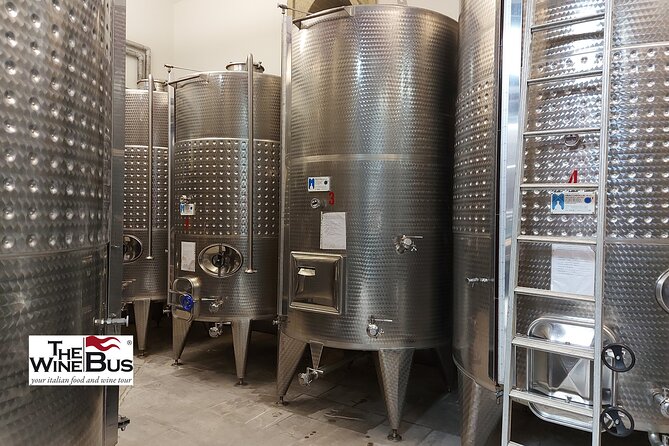 Private Irpinia Wine Tour from Sorrento with sommelier - Montemiletto brings a useful lunch pause