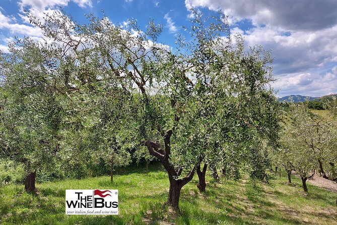 Private Irpinia Wine Tour from Sorrento with sommelier - The long return ride and the shape of the day