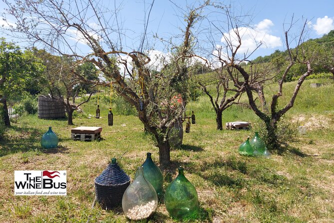 Private Irpinia Wine Tour from Sorrento with sommelier - Cantine Antonio Caggiano and the Taurasi hills
