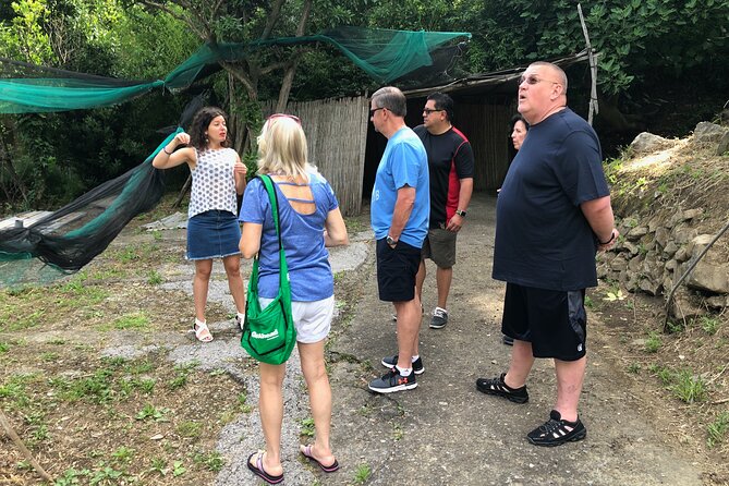 Private Pompeii Tour with lunch and Olive Oil Factory Experience - Booking details worth knowing