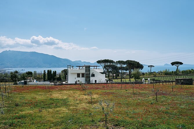 Private Pompeii Tour with Wine Tasting Experience - Boscotrecase and the taste of Vesuvius