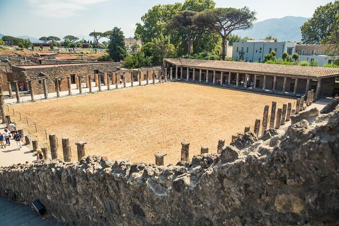 Private Skip-the-line Pompeii & Mt. Vesuvius Tour from Sorrento - Climbing Mount Vesuvius to 1,280 meters