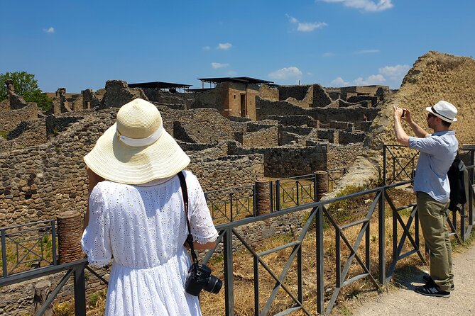 Private Skip-the-line Pompeii & Mt. Vesuvius Tour from Sorrento - Is $635.61 per person a fair price?