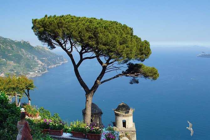Private Tour - Amalfi Coast, Positano, Amalfi, Ravello - What the drivers add to the day