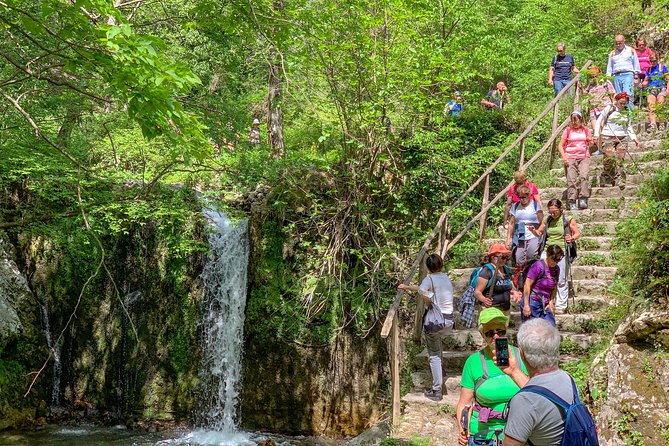 Private Tour: Amalfi Valle delle Ferriere Nature Reserve Walking Tour - Pontone and the mule track back to Amalfi