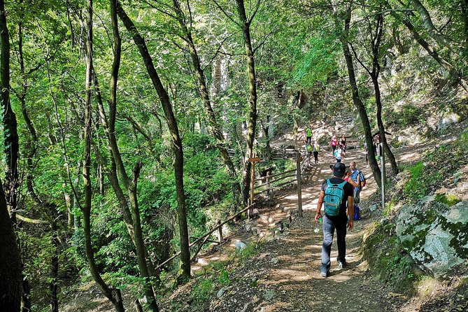 Private Tour: Amalfi Valle delle Ferriere Nature Reserve Walking Tour - Guides who add more than directions