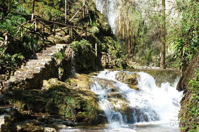 Private Tour: Amalfi Valle delle Ferriere Nature Reserve Walking Tour - Who should book this Amalfi walk?