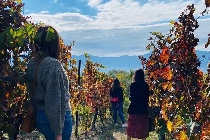 Private Tour in Pompeii Ruins and Pompeii City Center Winery - Pompeii’s modern center and its famous sanctuary