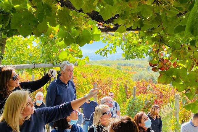 Private Tour in Pompeii Ruins and Pompeii City Center Winery - The personal service angle