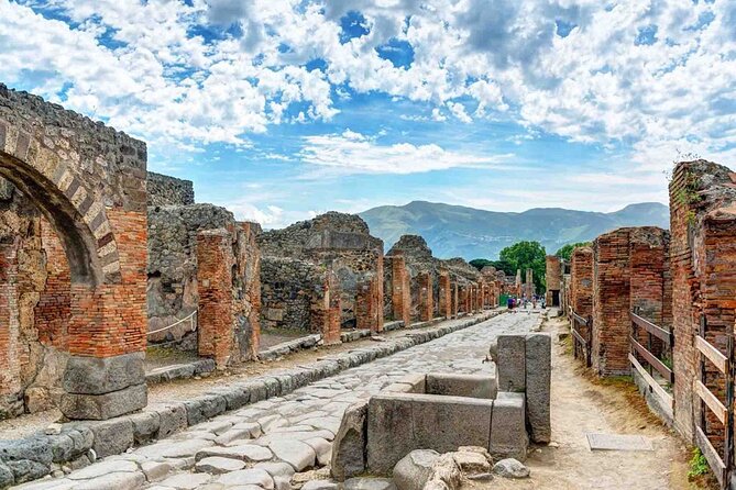 Private Tour in Pompeii Ruins and Pompeii City Center Winery - Starting from Sorrento at 9:00 a.m.
