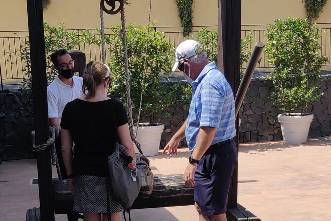 Private Tour Pompeii and Winery - Mount Vesuvius from the vineyard side