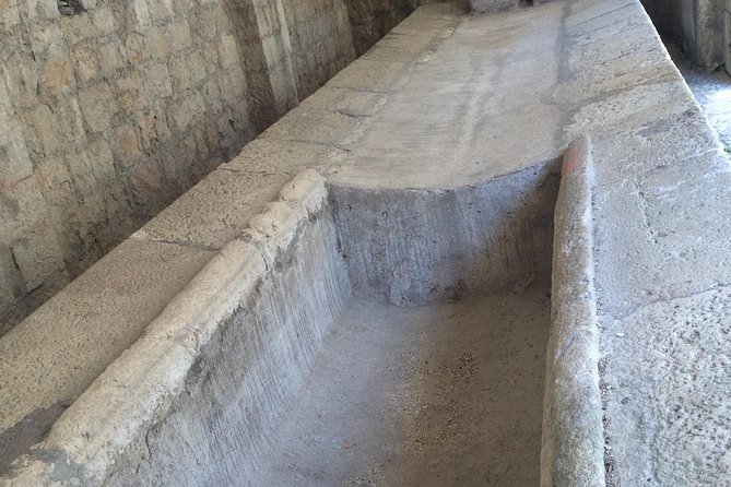 Private Tour Pompeii Herculaneum Vesuvius - Pompeii: a city stopped in 79 AD