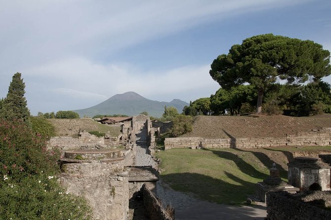 Private tour Pompeii Vesuvius and Winery from Sorrento - Why this Sorrento day trip works well