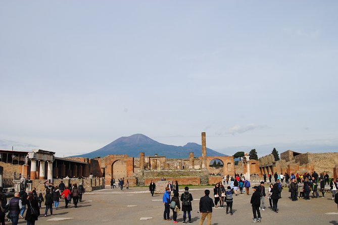 Private tour Pompeii Vesuvius and Winery from Sorrento - Who should book this private tour