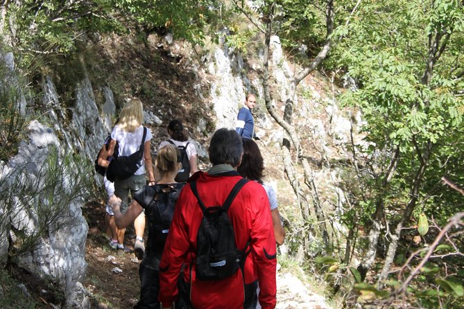 Private Tour: Truffle-Hunting Experience from Sorrento with Lunch - Meeting the Hunter and the Truffle Dogs